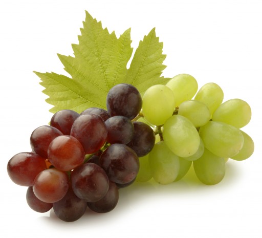 Grapes image - Agro trade for import & export [Mahdy Fresh - since 2000]