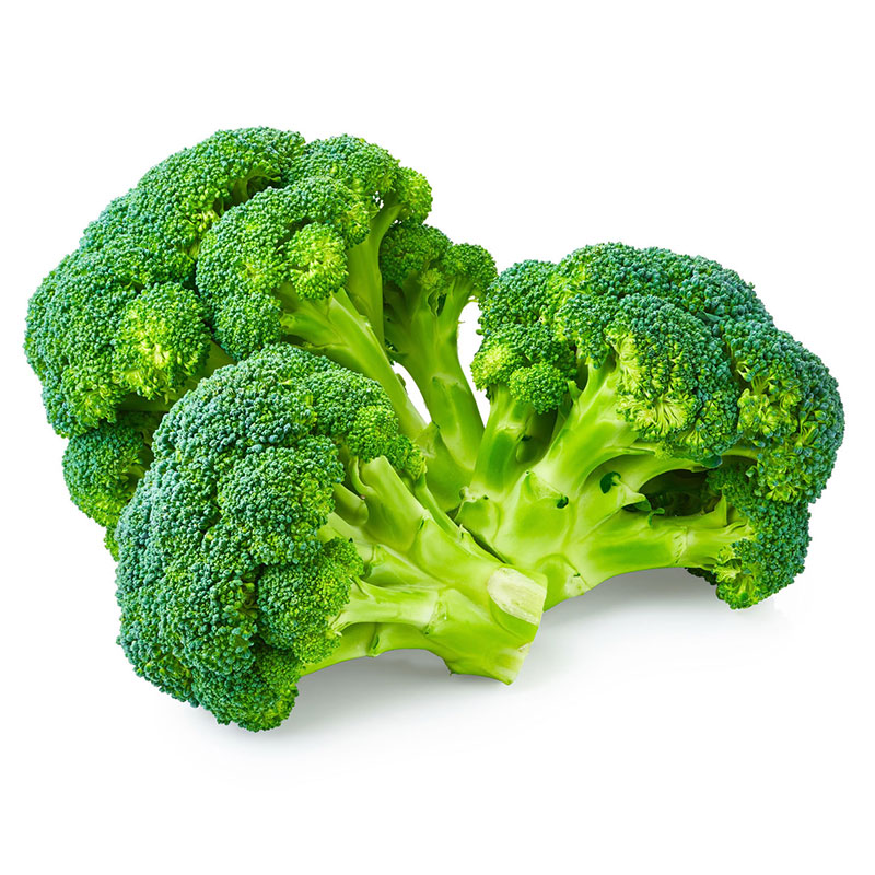 Broccoli image - Agro trade for import & export [Mahdy Fresh - since 2000]