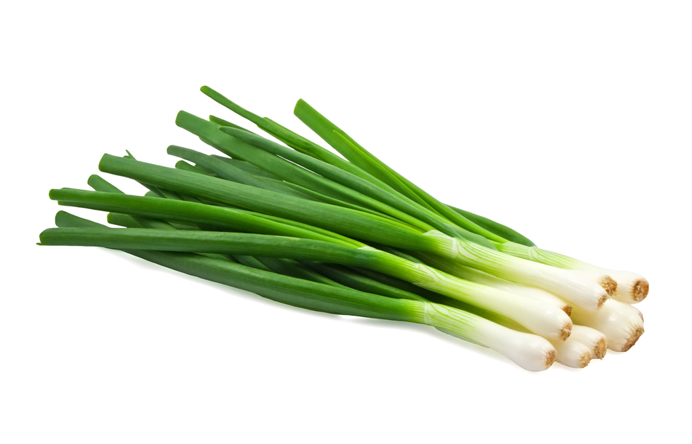 Green Onion image - Agro trade for import & export [Mahdy Fresh - since 2000]