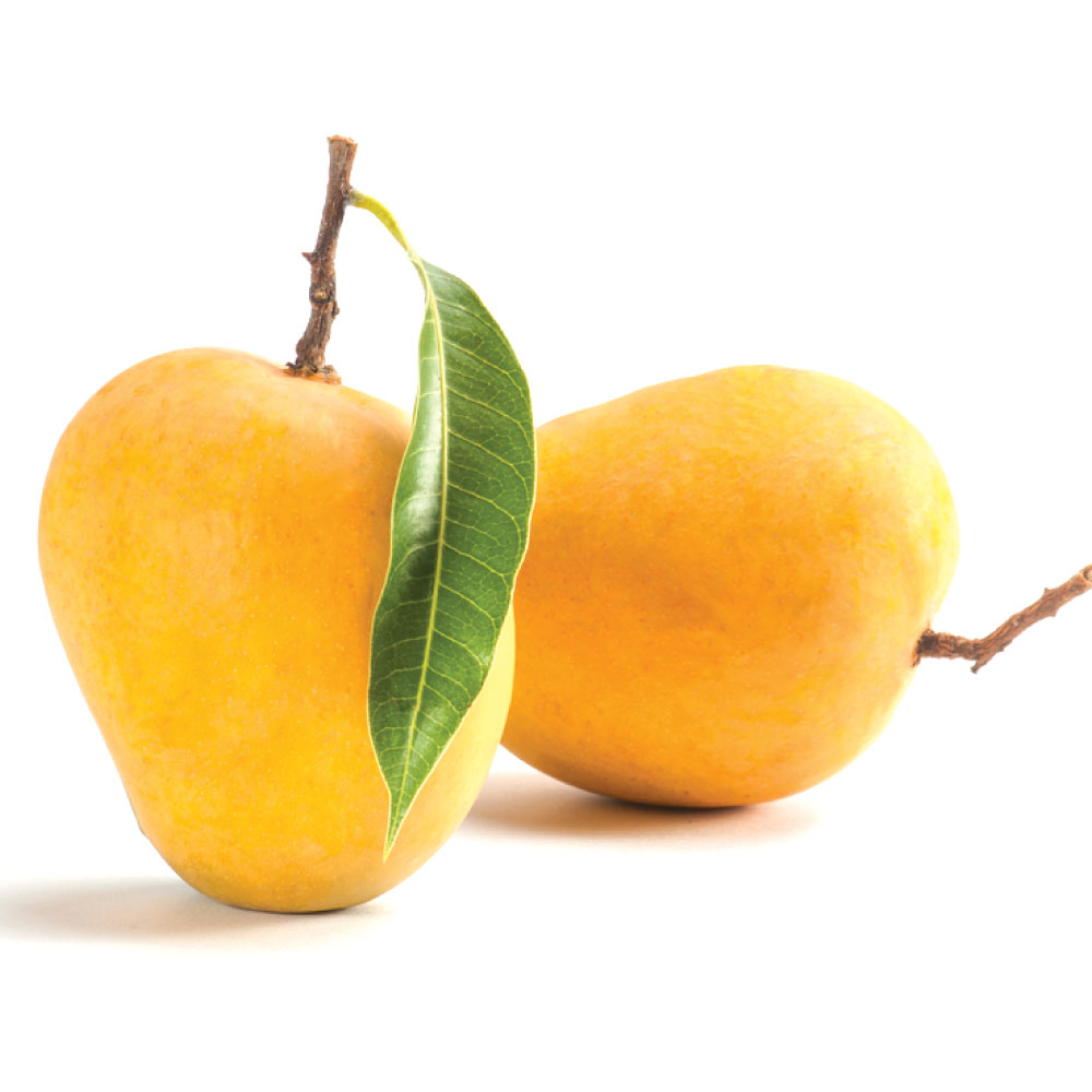 Mango image - Agro trade for import & export [Mahdy Fresh - since 2000]