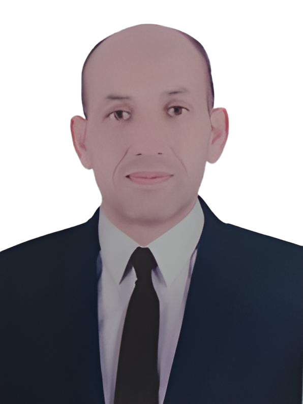 Mr. Alaa Elfeel image - Technical Director