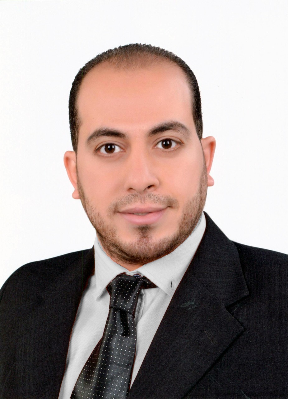 Mr. Mohamed El-Sayed image - Chief Financial Officer (CFO)